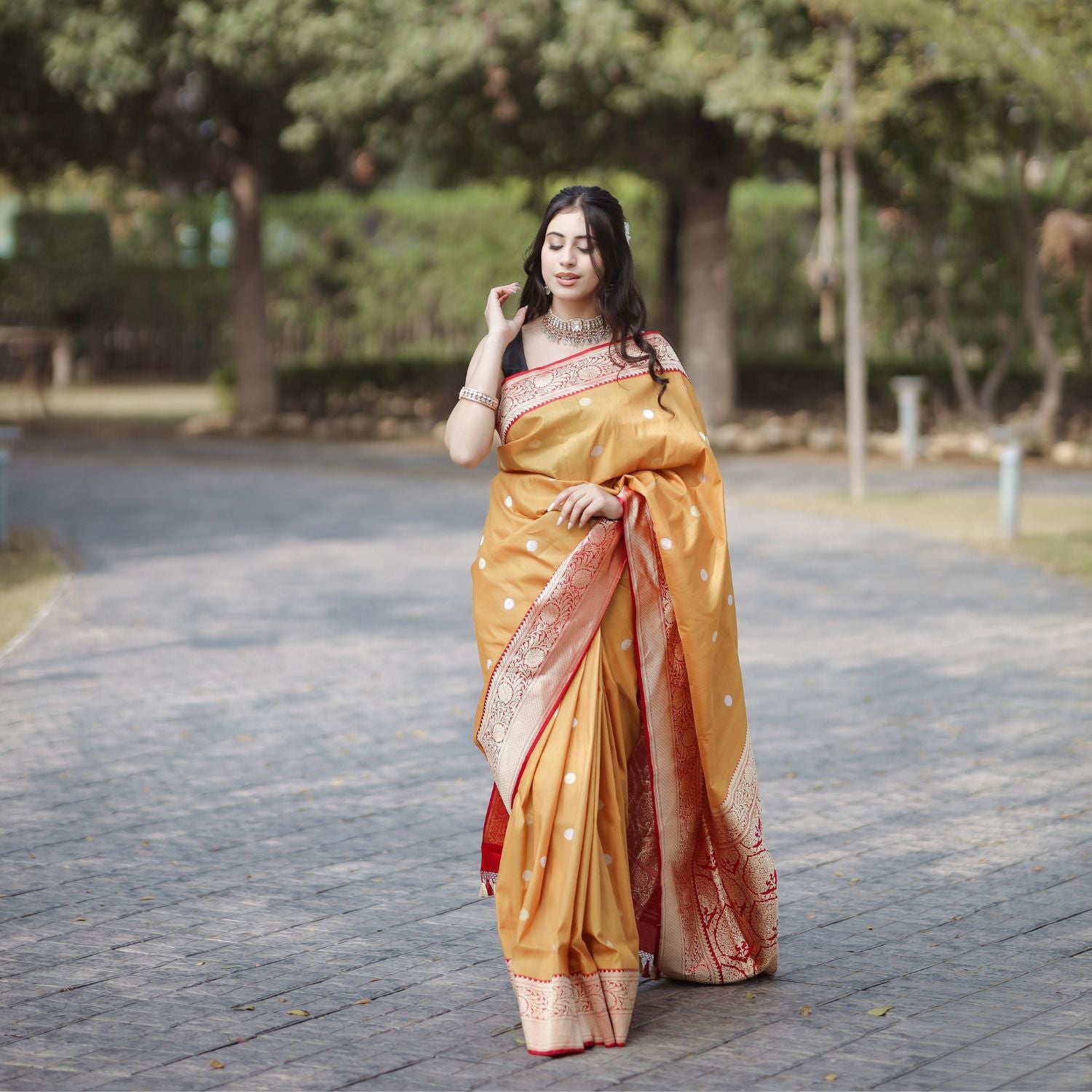 Designer tussar georgette saree with elegant look and modern ethnic design