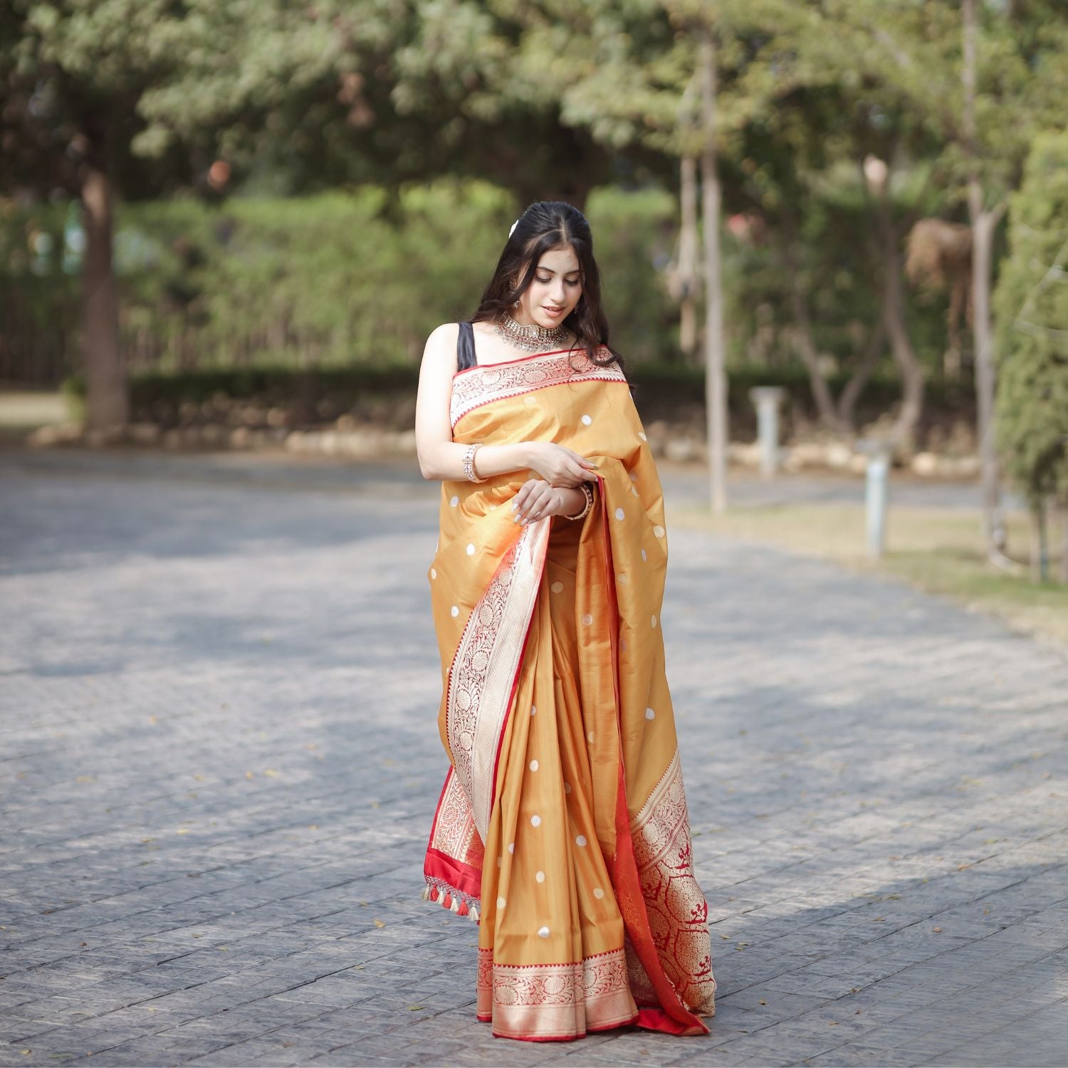Premium tussar georgette saree suitable for party and traditional occasions